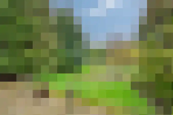 Staai 3 Grevenbicht thumbnail 4