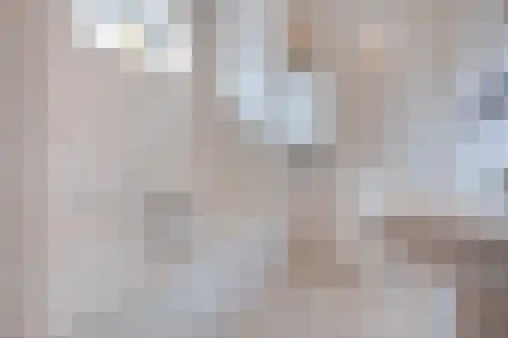 Staai 3 Grevenbicht thumbnail 5