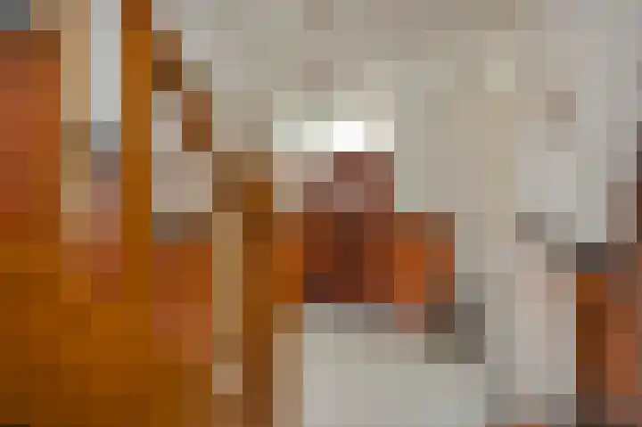 Staai 3 Grevenbicht thumbnail 8