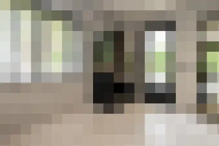 Staakweg 14 Dirksland thumbnail 15