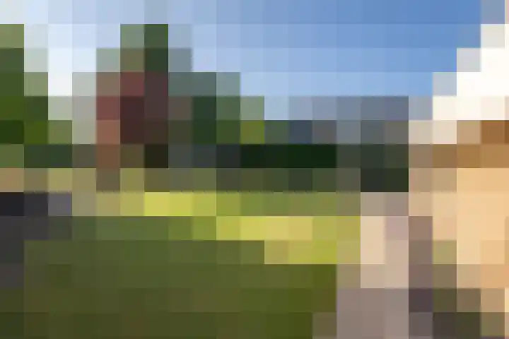 Staakweg 14 Dirksland thumbnail 36