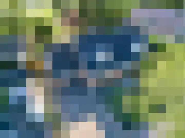 Staakweg 14 Dirksland thumbnail 43