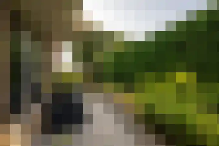 Staakweg 14 Dirksland thumbnail 5
