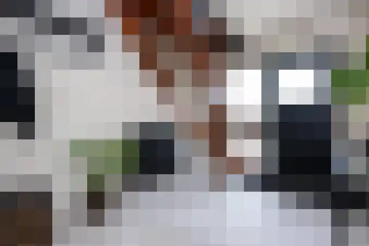 Staakweg 14 Dirksland thumbnail 6