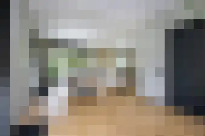 Staakweg 14 Dirksland thumbnail 8