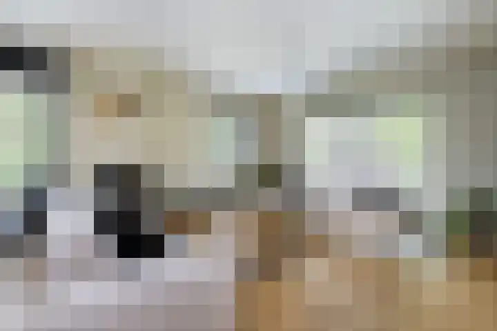Staakweg 14 Dirksland thumbnail 9