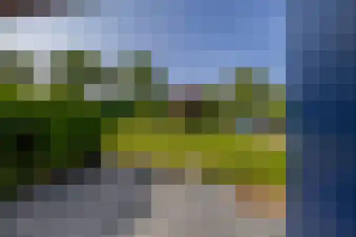 Staakweg 19 Dirksland thumbnail 27