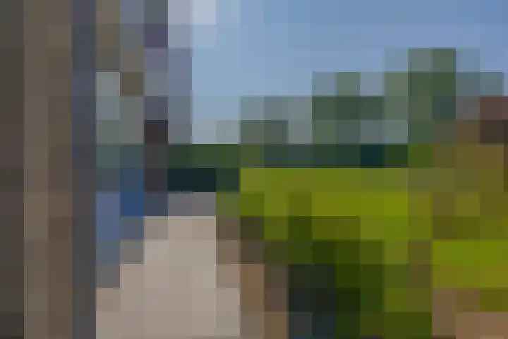 Staakweg 19 Dirksland thumbnail 28