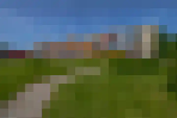 Staakweg 19 Dirksland thumbnail 4