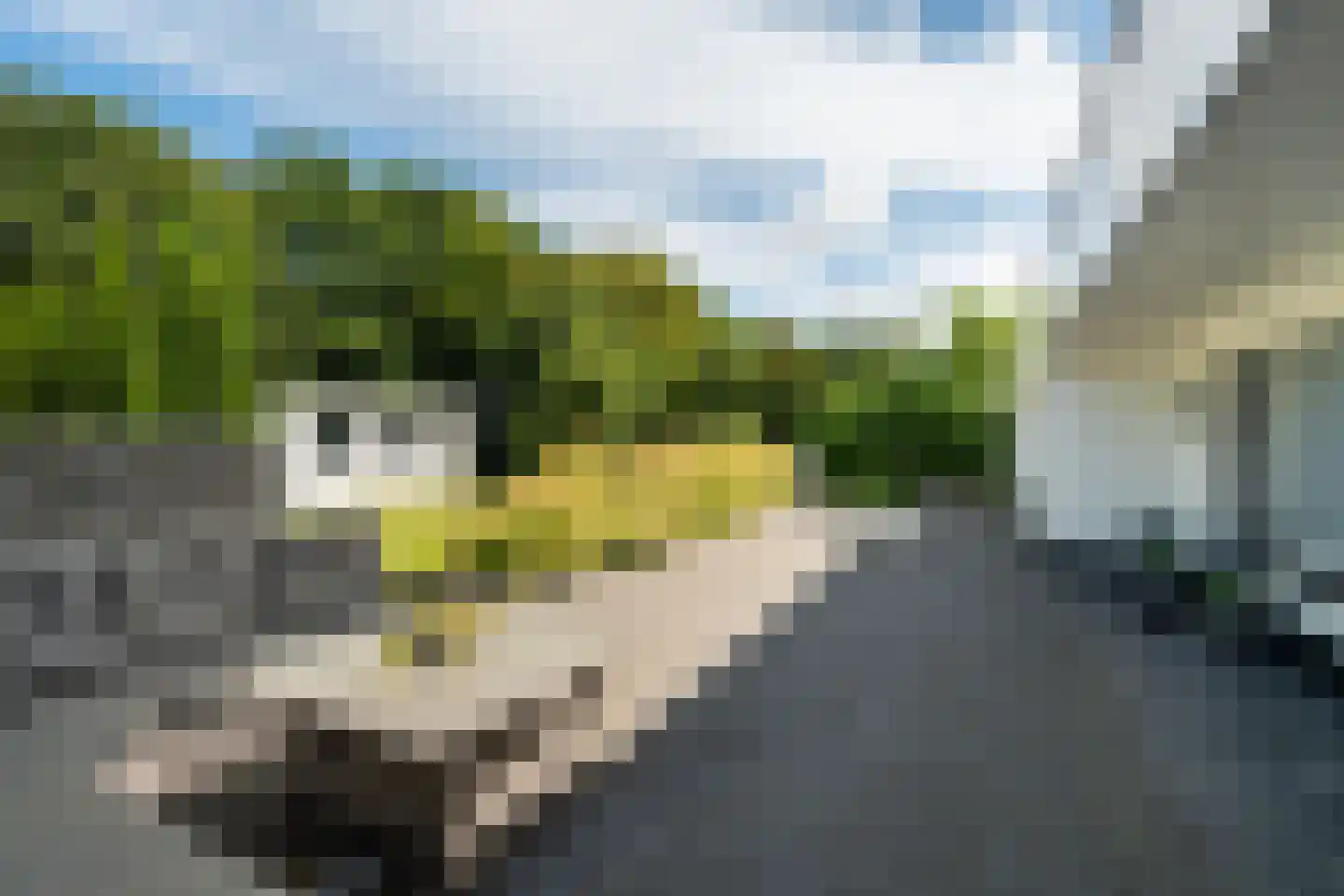 Staaldiepseweg 11 Brielle thumbnail 38