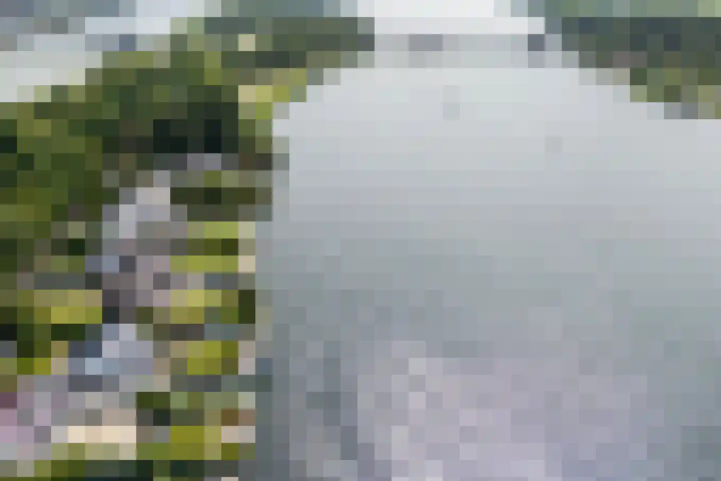 Staaldiepseweg 11 Brielle thumbnail 5