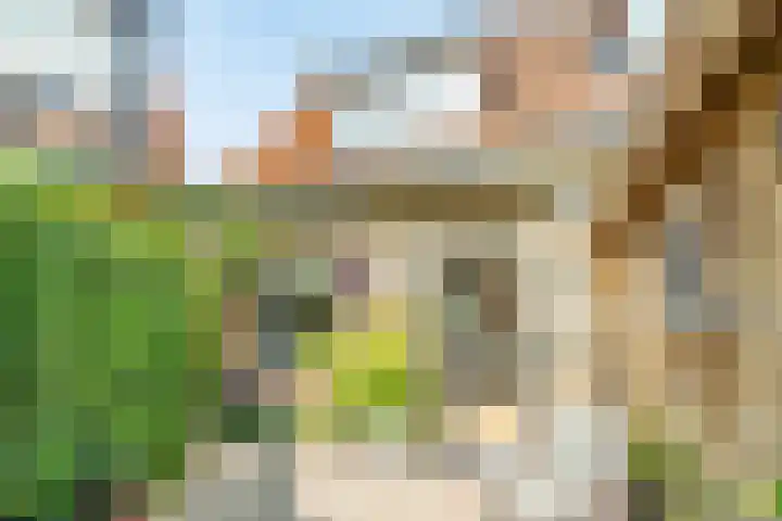 Staalwijkstraat 17 Leiden thumbnail 4