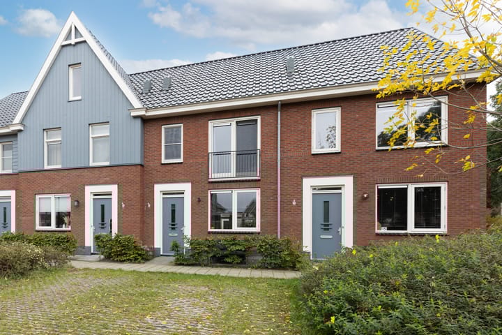 Staartploeg 13 in 't Zand foto