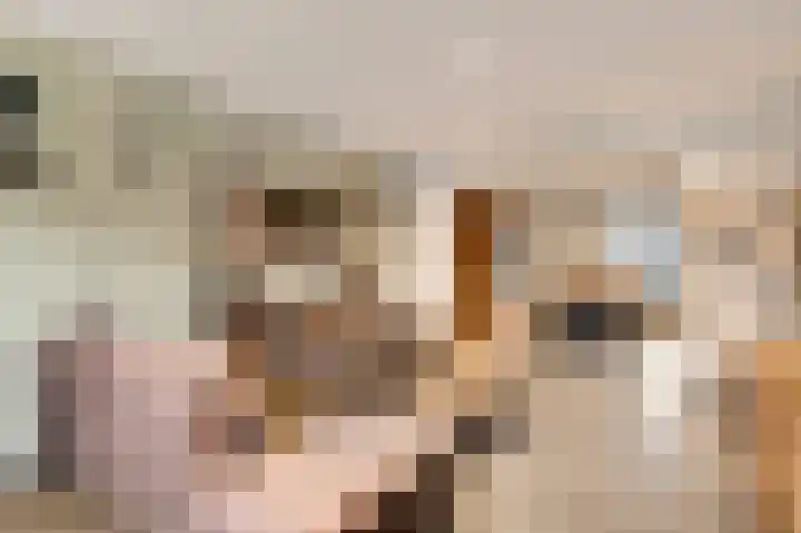 Staat 21 Nederweert thumbnail 10