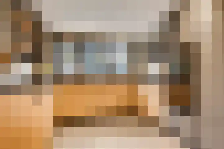 Staat 21 Nederweert thumbnail 13