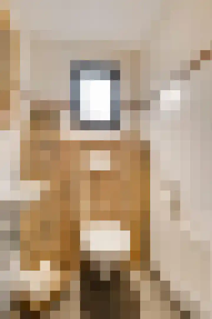 Staat 21 Nederweert thumbnail 17