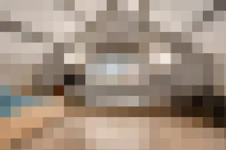Staat 21 Nederweert thumbnail 20
