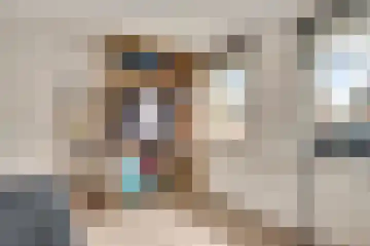 Staat 21 Nederweert thumbnail 24