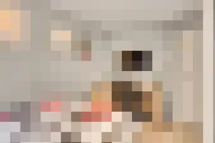 Staat 21 Nederweert thumbnail 26