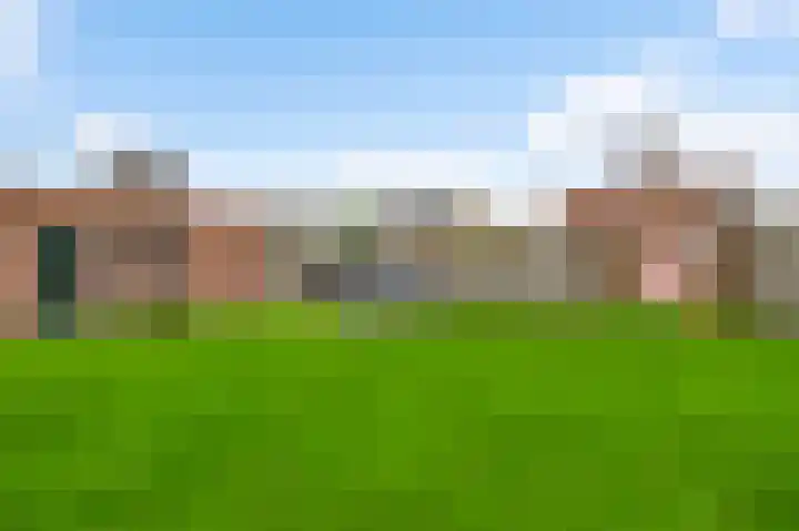 Staat 21 Nederweert thumbnail 34