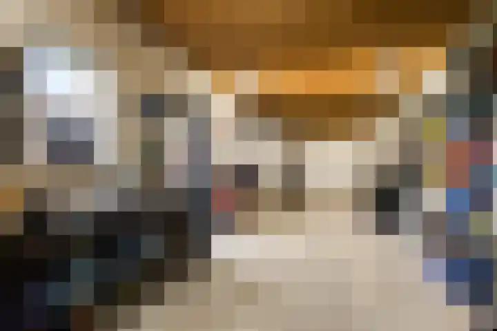 Staat 21 Nederweert thumbnail 4