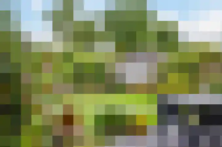 Staatsspoor 1 Arnhem thumbnail 31
