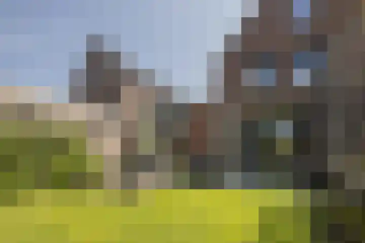Staatsspoor 13 Arnhem thumbnail 22
