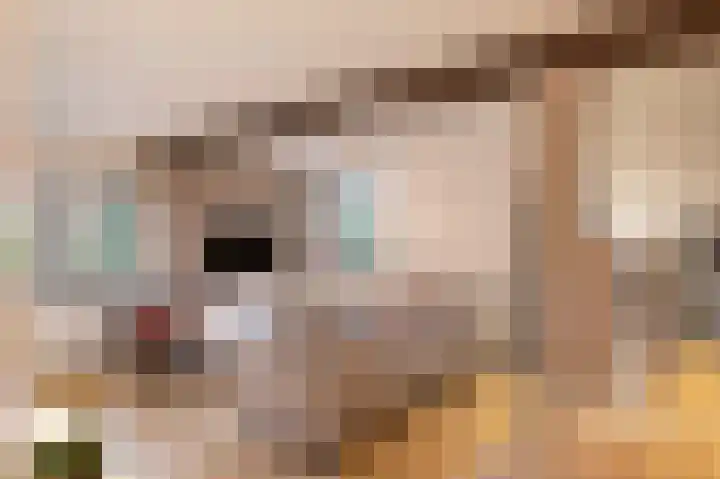 Staatsspoor 53 Arnhem