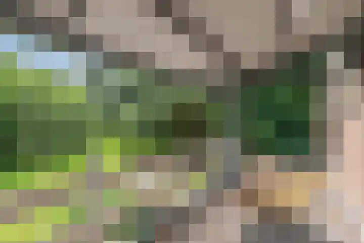 Stadburen 33 Nijelamer thumbnail 18