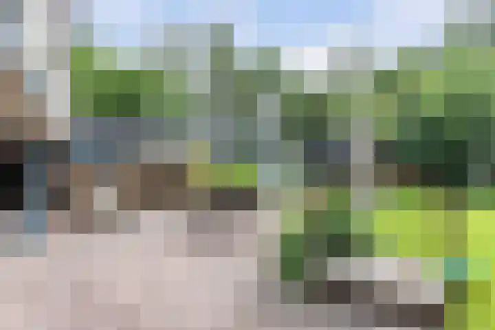 Stadburen 33 Nijelamer thumbnail 43