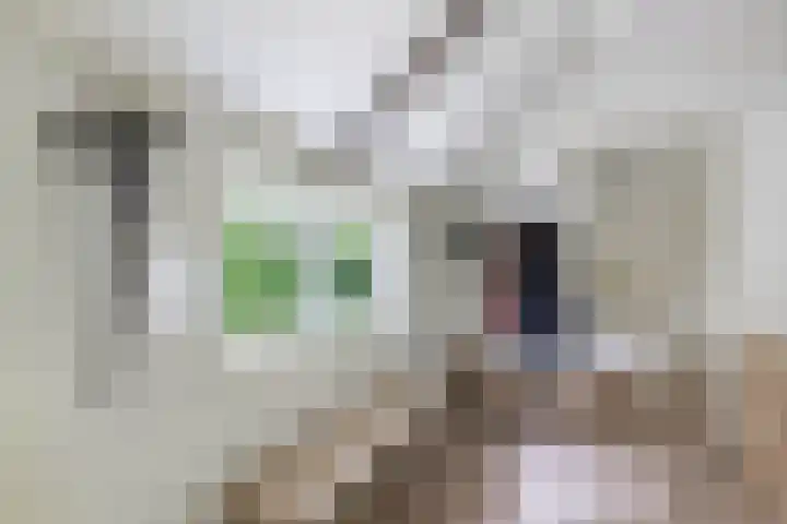 Stadburen 33 Nijelamer thumbnail 7