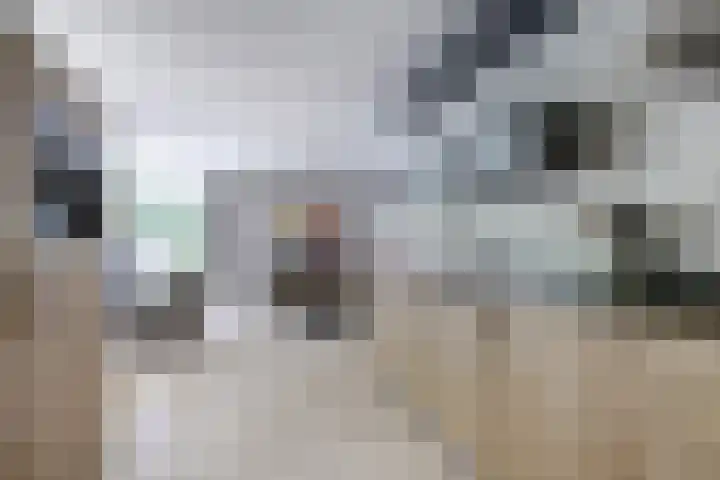 Stadhoudershoef 2 Hank thumbnail 11