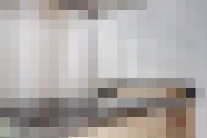 Stadhoudershoef 2 Hank thumbnail 14