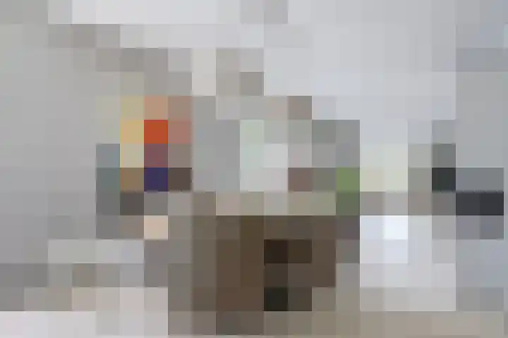 Stadhoudershoef 2 Hank thumbnail 16