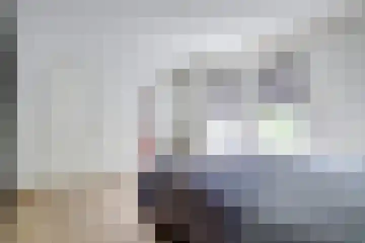 Stadhoudershoef 2 Hank thumbnail 19
