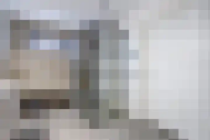 Stadhoudershoef 2 Hank thumbnail 20