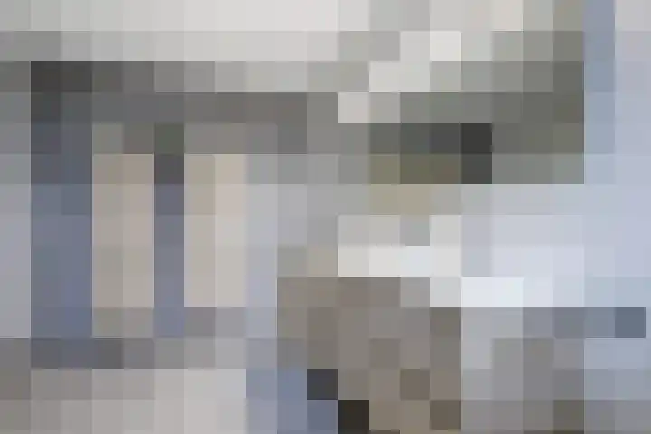 Stadhoudershoef 2 Hank thumbnail 21