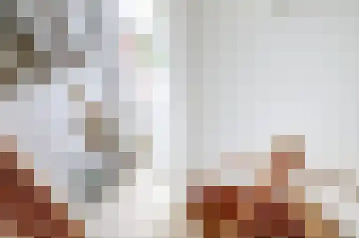 Stadhoudershoef 2 Hank thumbnail 24