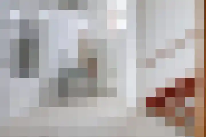 Stadhoudershoef 2 Hank thumbnail 26