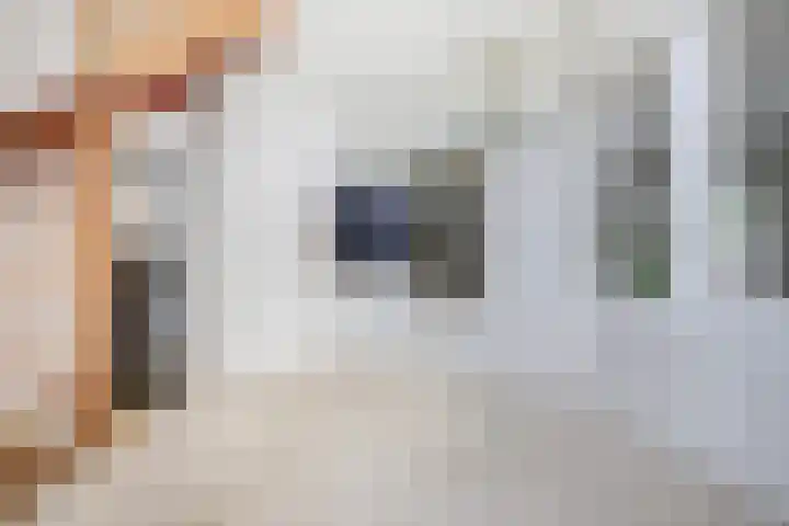 Stadhoudershoef 2 Hank thumbnail 27