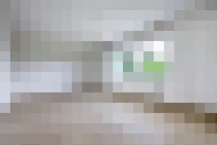 Stadhoudershoef 2 Hank thumbnail 30