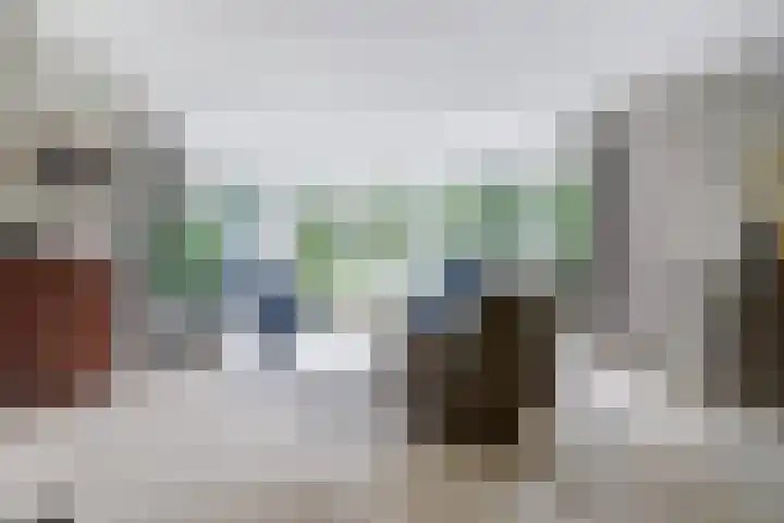 Stadhoudershoef 2 Hank thumbnail 4