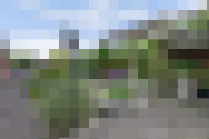 Stadhoudershoef 2 Hank thumbnail 44
