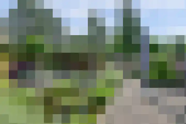 Stadhoudershoef 2 Hank thumbnail 45
