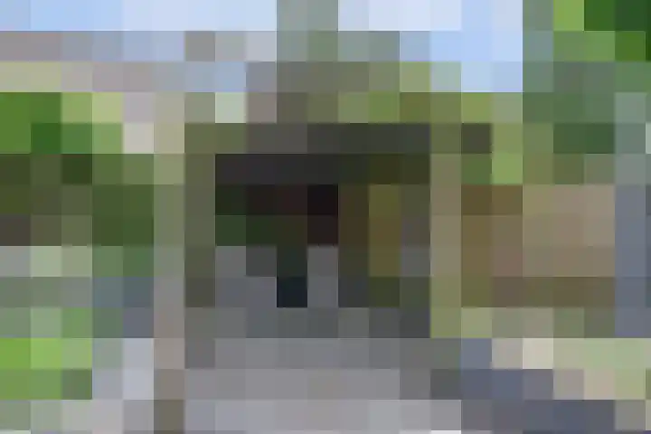 Stadhoudershoef 2 Hank thumbnail 46