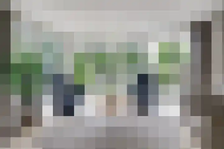 Stadhoudershoef 2 Hank thumbnail 5