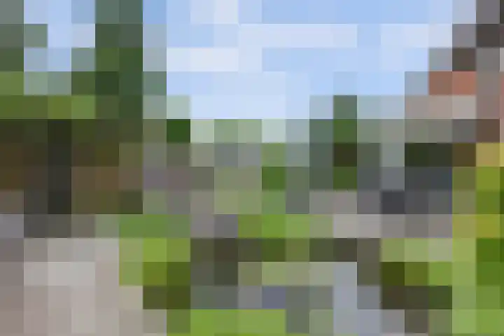 Stadhoudershoef 2 Hank thumbnail 50