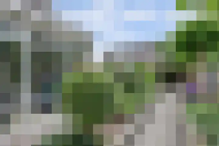 Stadhoudershoef 2 Hank thumbnail 51