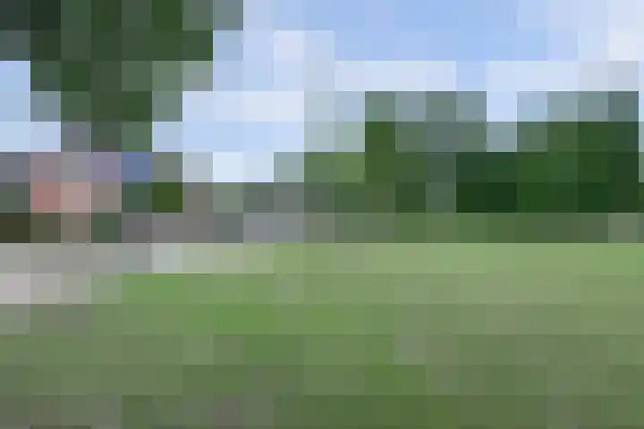 Stadhoudershoef 2 Hank thumbnail 58
