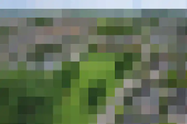 Stadhoudershoef 2 Hank thumbnail 59